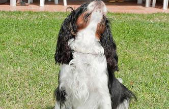 Agriturismo San Carlo - Foto 54