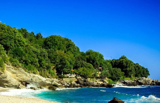 Kanari s House Pelion - Foto 31