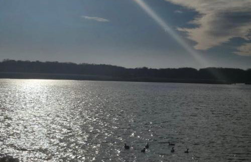 Sai Rakshit Villa on Maurice River - Foto 15