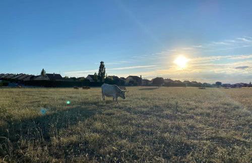 Luz de Luna - Foto 26