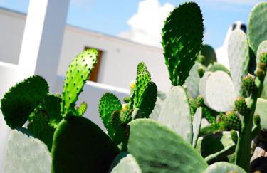 Agroturisme Can Planells - Foto 50