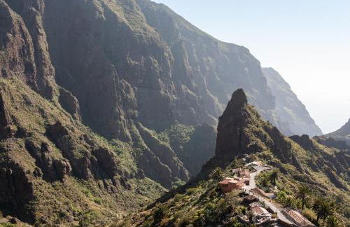 Live masca casatarucho - Foto 4