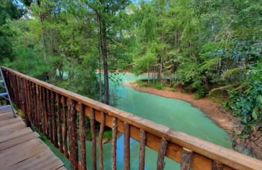 Waterfront Treehouse in a Magical Forest - Foto 21