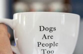 Central Lake Cozy Retreat AC Boat Launch Fire Pit - Foto 12