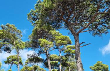 Apartments Jungic, Rab - Photo 74