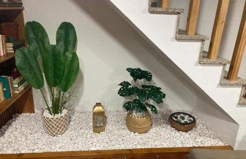 Quinta da Recochina - Photo 58