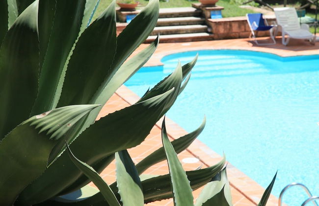 Podere Agrituristico Luchiano - Foto 55