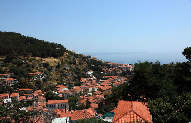 Mary's Villas - Photo 27