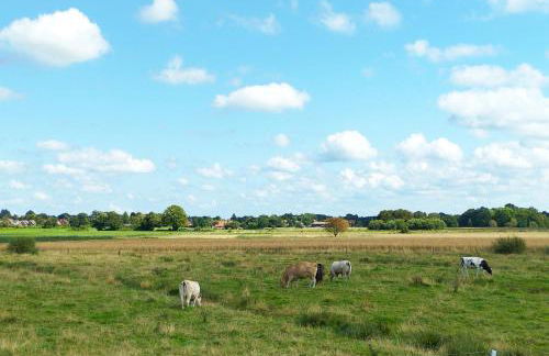 Haus Meereswind, 3xSchlafzimmer Wintergarten Garten Badewanne - Photo 28
