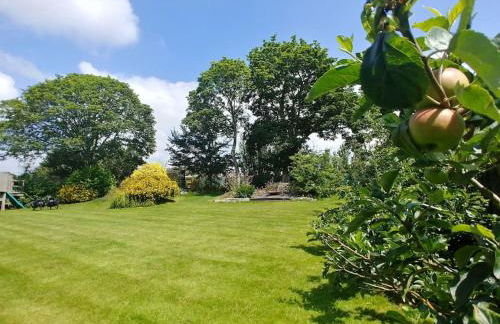 Portreeves - Foto 17