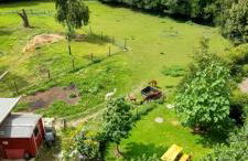 Hof Albersmeier Hüttinghausen / Urlaub am Stall - Foto 24