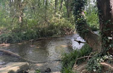 Gite dans ancien moulin - Foto 17