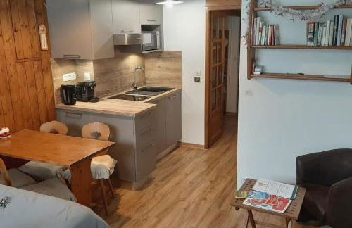 Grand Studio 25 m2, lumineux, central, vue Mont-Blanc - Photo 6