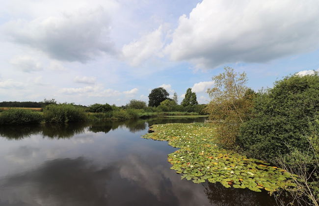 Villa in Ommen With Private Pond - Foto 33