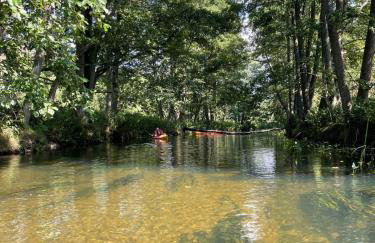 Świerkowe Ranczo Raciszewo - Foto 30