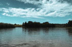 Biohof Liebhart - Photo 40