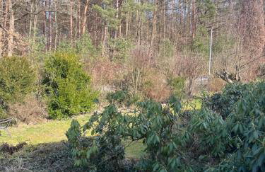 Franziska's Ferienwohnung - Die Unterkunft in ruhiger Lage direkt am Wald - Foto 21