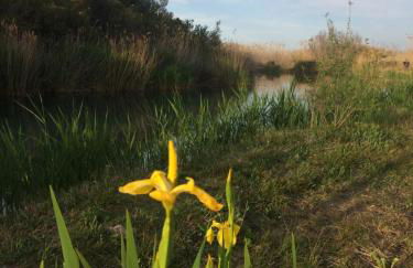 Casa en playa Oliva y MET - Photo 20