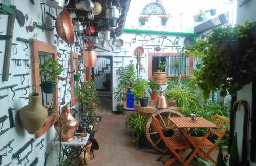 Casa Museo Jerez Centro - Foto 19