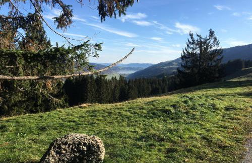 weitnaustyle - renoviert, modern, allergikerfreundlich - Photo 51