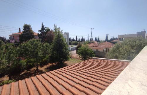 Rural Modern House - Foto 9