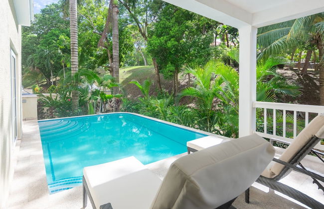 Lawson Rock - Parrotfish 106 - Foto 35