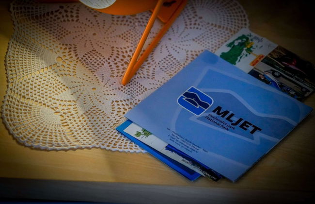 Apartments Filipovic - One Bedroom Apartment With Terrace and Sea View - Foto 30