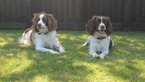 3 Bed in Penzance oc-75635 - Foto 2, Other