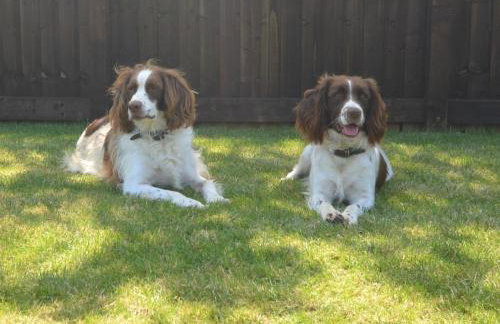 3 Bed in Penzance oc-75635 - Foto 2