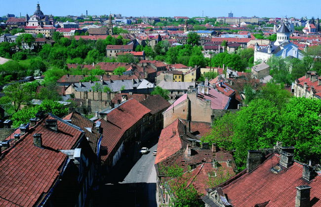 Vilnius Old Town Walking Tour - Photo 2