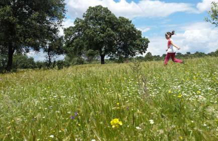 Finca el Vizconde - Naturaleza con tus hijos - Foto 35
