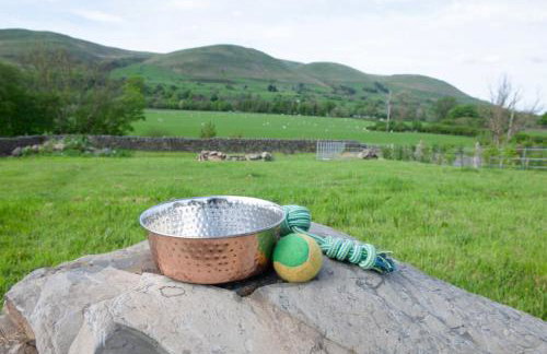 Relaxing pet friendly rural retreat - Photo 17