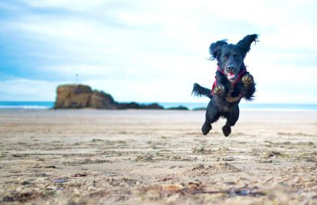 Idyllic Cornish Cottage, Superking bed, private garden dogs welcome - Photo 52