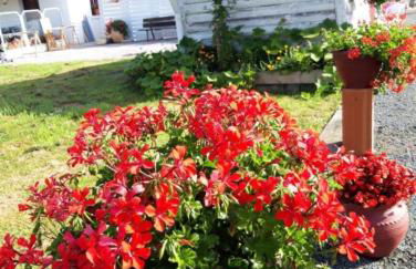 petit esperantza - Foto 3