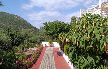 Tesoro of Ithaca - Foto 23