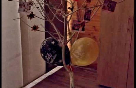 NaturaLove Glamping - Foto 6