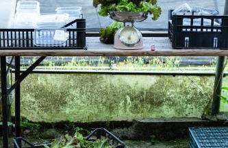 Agriturismo Biomatto - Foto 43