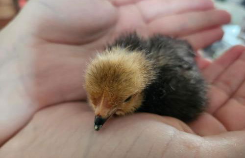 Fewo VOR DEM BERG Bergstraße 21 - Foto 48