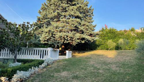 Villa Monika - Foto 5, Garden