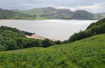 Loch Ewe Luxury Pods - Foto 68