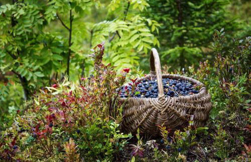 Ferienhaus AUSZEIT - Foto 54