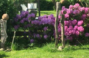 Minsener Warft - Photo 2