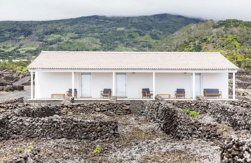 Insula Vinus Apartments - Photo 6