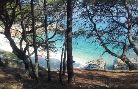 Apartments Ljilja sea view - Photo 16