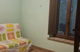 Il Casale Società Agricola Semplice di Barattini Pascucci Doriana e C - Foto 57