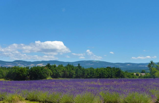Menerbes Home With Private Pool - Foto 21