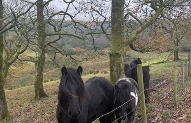 Grange Cottage - Foto 34