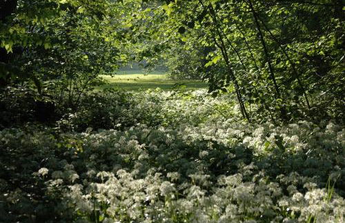 Schloss Langenzell, Fürstensuite - Foto 12