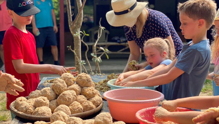 Découvrez l'île de Samui avec Elephant Care Camp - Excursion d'une journée - Photo 3