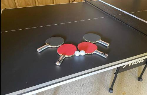 Waterfront Home Game Room Ping Pong Outdoor Bar Area - Foto 54